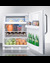 CT661BIDPLADA Refrigerator Freezer Full