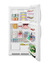 CTR21LLF2 Refrigerator Freezer Full