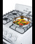 RG244WS Gas Range Detail