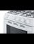 RG244WS Gas Range Detail