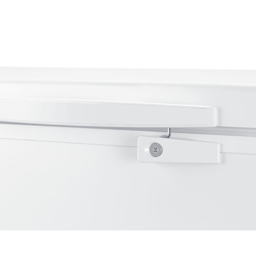 SCFM133 Freezer Detail