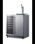 SWBC3041 Beverage Kegerator Angle