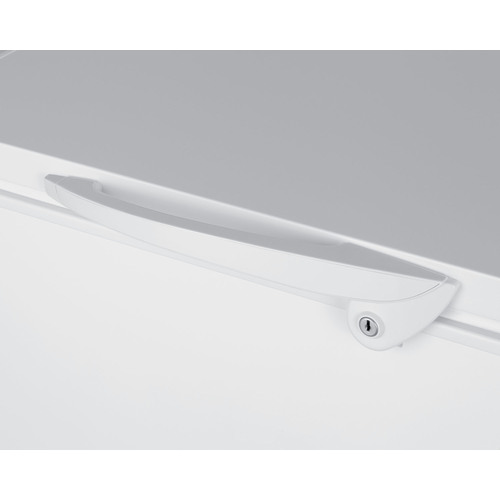 LAB11test Freezer Detail